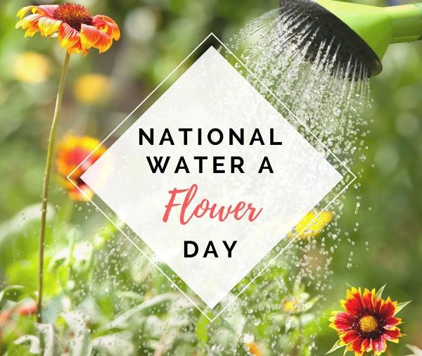 Water A Flower Day 🌸 🌻 🌷 New Decks, Blog & More